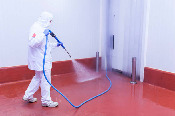 Best Warehouse Cleaning  in Brewster Hill, NY